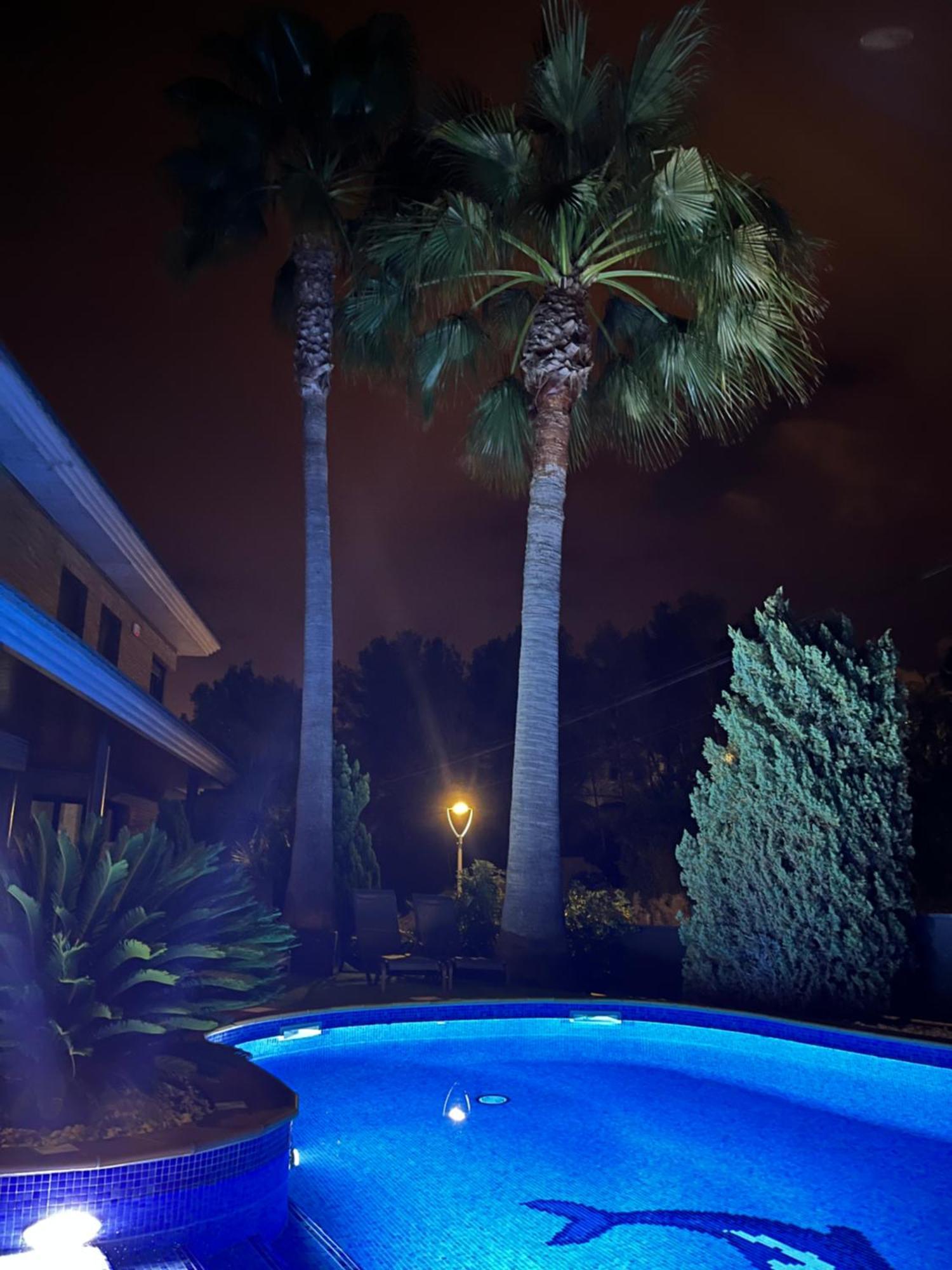 Washingtonia Villa Near Sitges Canyelles  Exterior photo